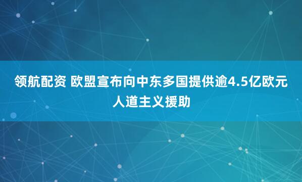 领航配资 欧盟宣布向中东多国提供逾4.5亿欧元人道主义援助