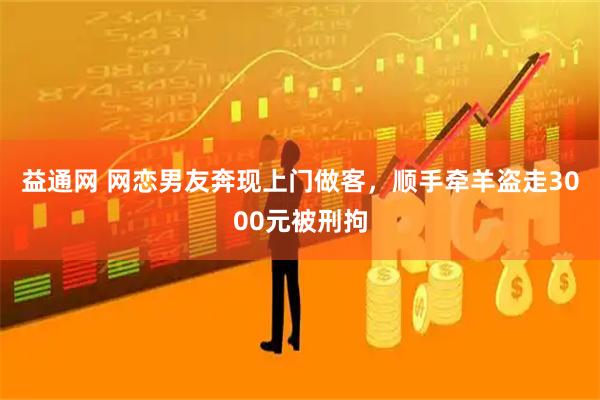 益通网 网恋男友奔现上门做客，顺手牵羊盗走3000元被刑拘